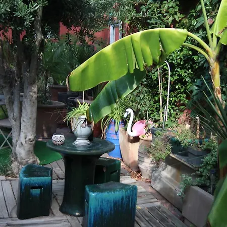 Bed & Breakfast La Maison In&out Aigues-Mortes